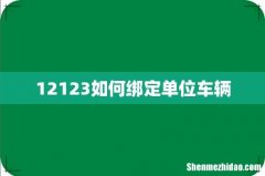 12123如何绑定单位车辆