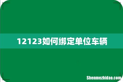 12123如何绑定单位车辆