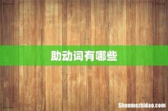 助动词有哪些