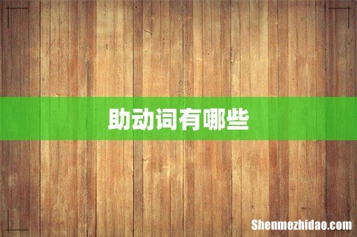 助动词有哪些
