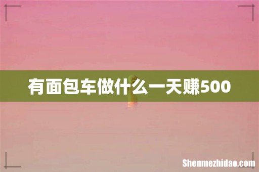 有面包车做什么一天赚500