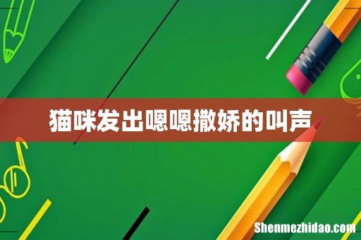 猫咪发出嗯嗯撒娇的叫声