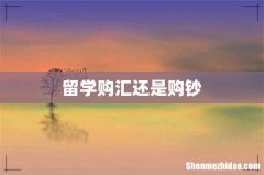 留学购汇还是购钞