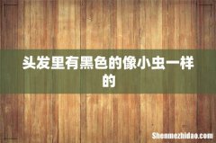 头发里有黑色的像小虫一样的