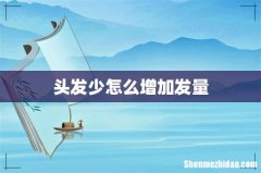 头发少怎么增加发量