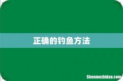 正确的钓鱼方法