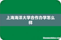 上海海洋大学合作办学怎么样