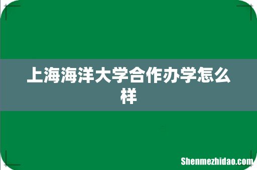 上海海洋大学合作办学怎么样