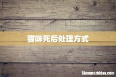 猫咪死后处理方式