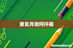 紫玄月如何扦插