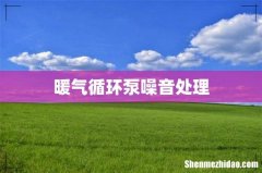 暖气循环泵噪音处理
