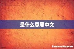 是什么意思中文