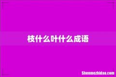 枝什么叶什么成语