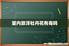 室内放洋牡丹花有毒吗