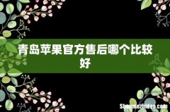 青岛苹果官方售后哪个比较好