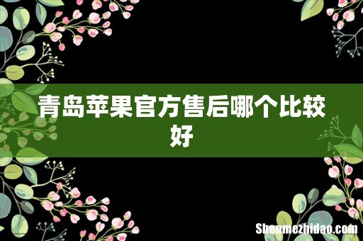 青岛苹果官方售后哪个比较好