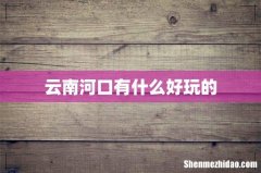 云南河口有什么好玩的