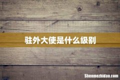 驻外大使是什么级别