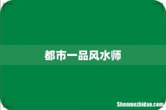都市一品风水师