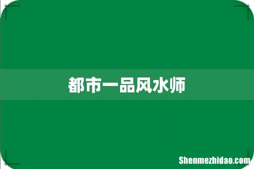 都市一品风水师