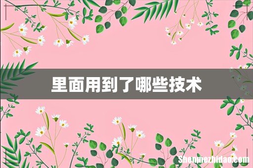 里面用到了哪些技术