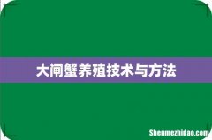 大闸蟹养殖技术与方法