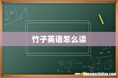 竹子英语怎么读