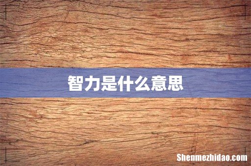 智力是什么意思