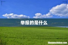 举报的是什么