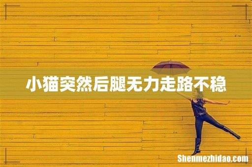 小猫突然后腿无力走路不稳