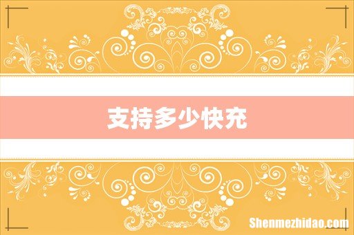 支持多少快充