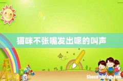 猫咪不张嘴发出嗯的叫声