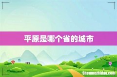 平原是哪个省的城市