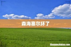 森海塞尔坏了