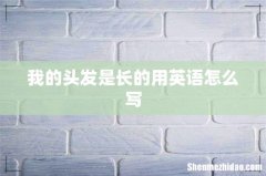 我的头发是长的用英语怎么写