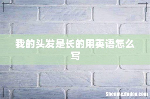 我的头发是长的用英语怎么写