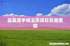 盗墓高手姚玉忠现在在哪里呢