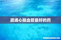 疏通心脑血管最好的药