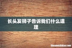 长头发狮子告诉我们什么道理