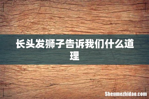 长头发狮子告诉我们什么道理