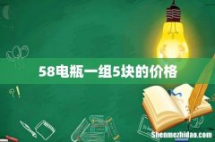 58电瓶一组5块的价格