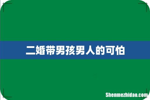 二婚带男孩男人的可怕