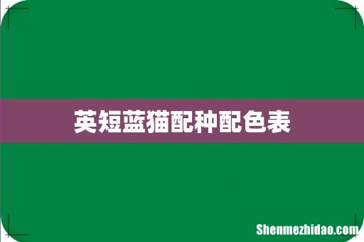 英短蓝猫配种配色表
