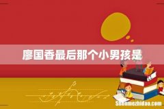 廖国香最后那个小男孩是