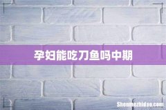 孕妇能吃刀鱼吗中期