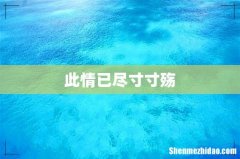 此情已尽寸寸殇