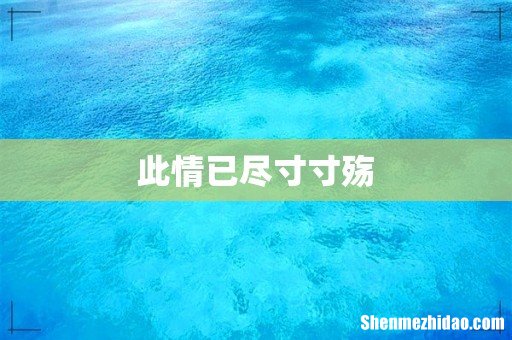 此情已尽寸寸殇