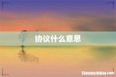 协议什么意思