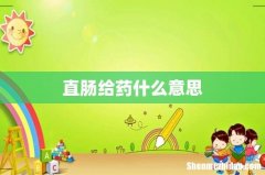 直肠给药什么意思