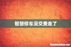 智慧停车没交费走了